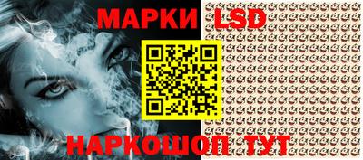 хмурый Кингисепп