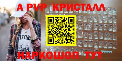 хмурый Кингисепп