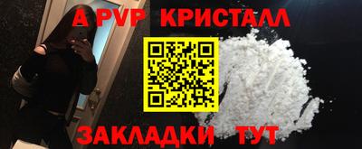 хмурый Кингисепп